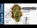Common Man Vs Corruption Short Fim Chappalled Pocket Films
