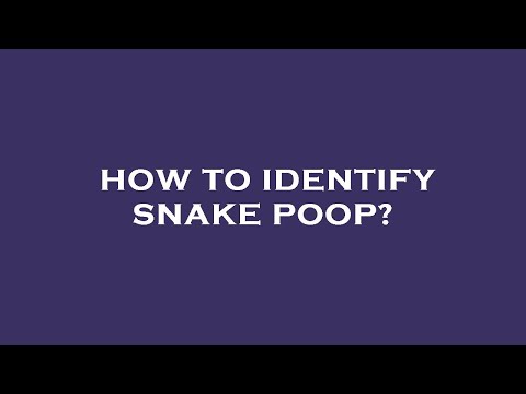 What Does Snake Excrement Look Like
