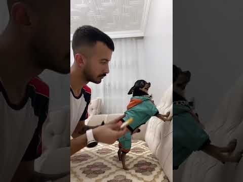 Laugh Break! That Really Happened!  Ep 11 by RxCKSTxR