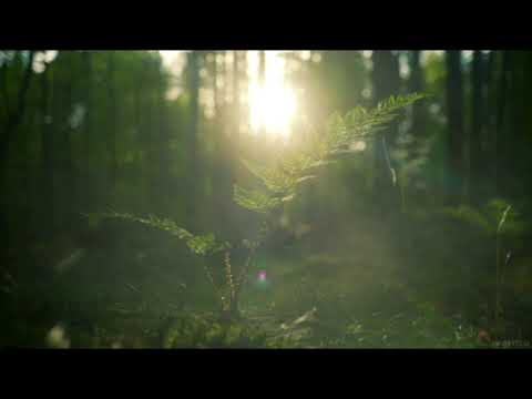 Marvin Sapp- He Has His Hands on you(slowed down)