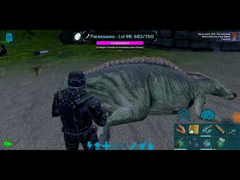 5 dicas boas para veteranos e iniciantes