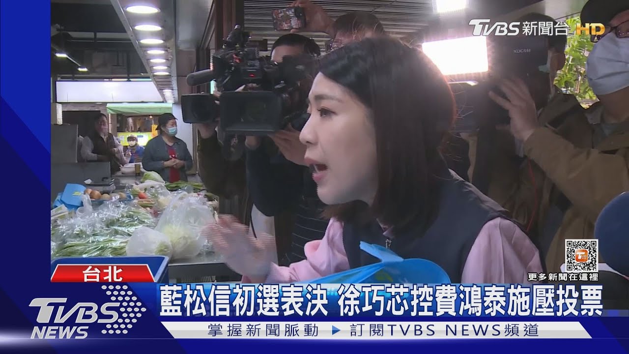 藍松信初選表決 徐巧芯控費鴻泰施壓投票