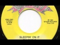 Duke Robillard - Sleepin' on It