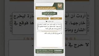 11509 - حكم قتل الهرة خطأ -  نور على الدرب image