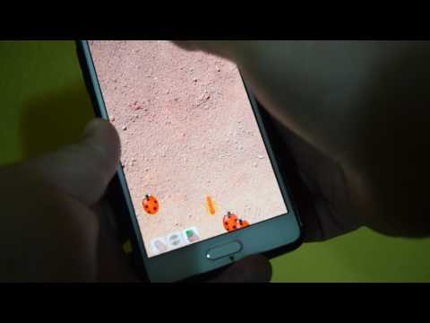 Smash these Bugs Video