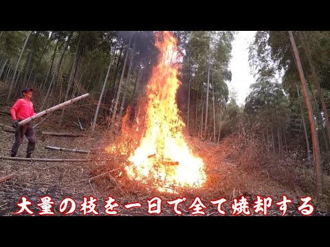 庭の緑の廃棄物を燃やす：何を燃やすことが許可されていますか？庭で燃やすにはどうすればよいですか？  庭園