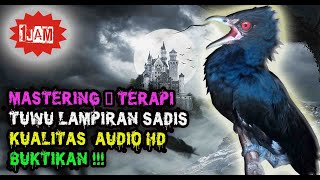 Download lagu Tuwu Gacor Audio - Tembakan Lampiran Burung Tuwu Gacor Sadis mp3