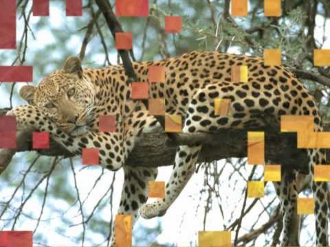 Abonesh Adenew Ft. Ermias360 - Alkerim { Ethiopia 09 }