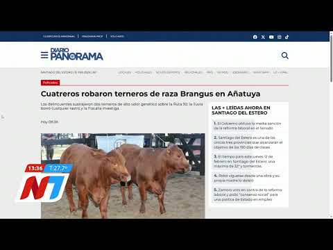 ROBO EN EL CAMPO: CUATREROS SE LLEVARON TERNEROS BRANGUS EN AÑATUYA 🐄