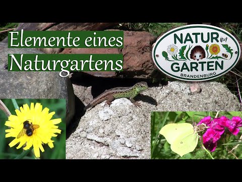 Elemente eines Naturgartens | Was ist wichtig für einen naturnahen Garten?