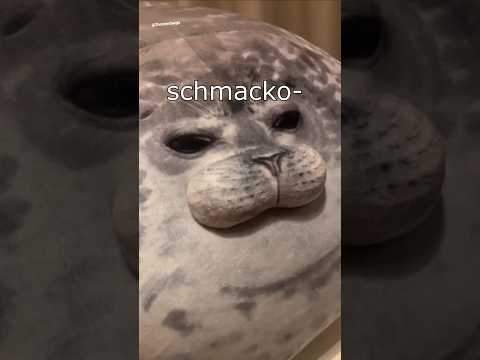 Die Dawgs bleiben fett #lustig #witzig #funny #tiere #animals #meme #lachen #happy #2homiedawgs