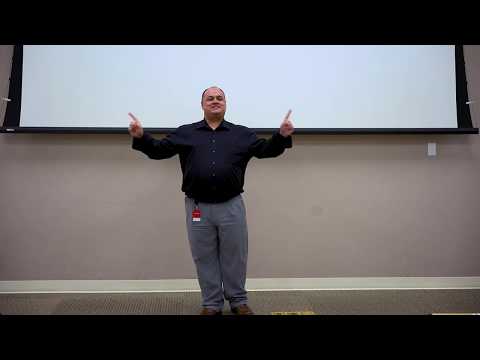 Day in the Life of a Cat Slave