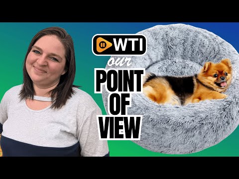 Calming Dog Bed - WTI product video review