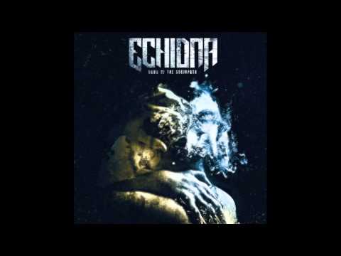 Echidna - The Fallout