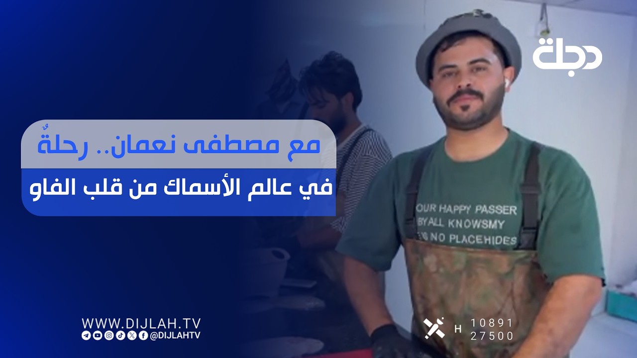 فيديو | مع مصطفى نعمان.. رحلةٌ في عالم الأسماك من قلب الفاو