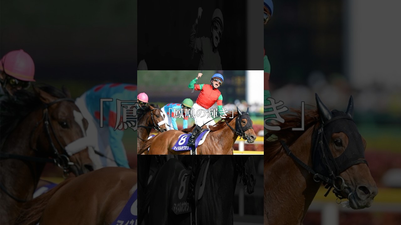 一瞬の輝きは伝説に。あの日あなたの背には翼が見えた。#マイネルホウオウ #競馬 #shorts