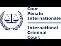 Concours de procès fictif de la CPI 2024 – Version française