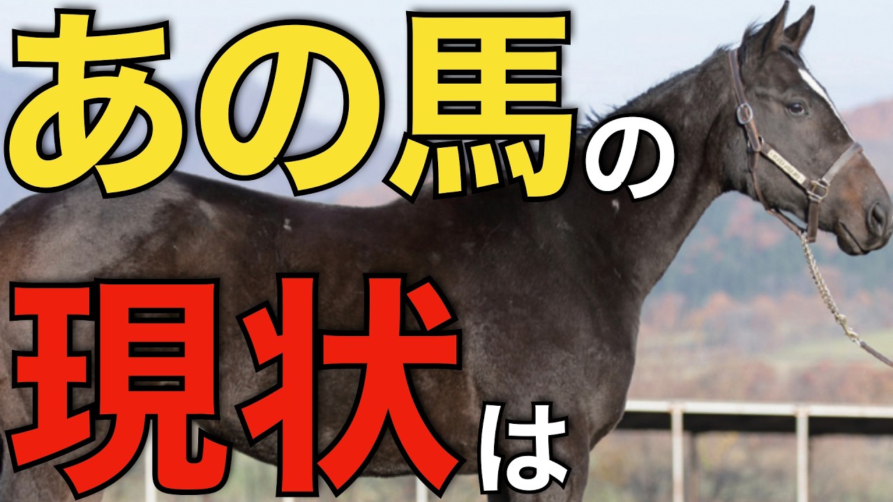 残した血は繋がるのか？早逝した種牡馬たちの貴重な産駒の現状に迫る。