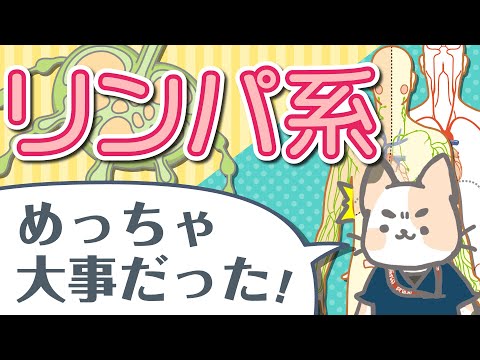 胸腺 (解剖学)について詳しく解説