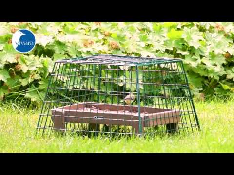 Vivara Bodenfutterstelle / Futtertisch mit Schutzkäfig