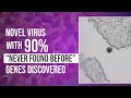 Yara Virus - New Virus With 90% “Never Found Before” Genes Discovered