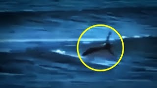 5 Mermaids Caught On Camera & Spotted In Real Life! #2