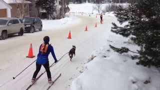 preview picture of video 'Katie & Stella - Day Two (part two) - One Dog Skijor - Kearney 2013'