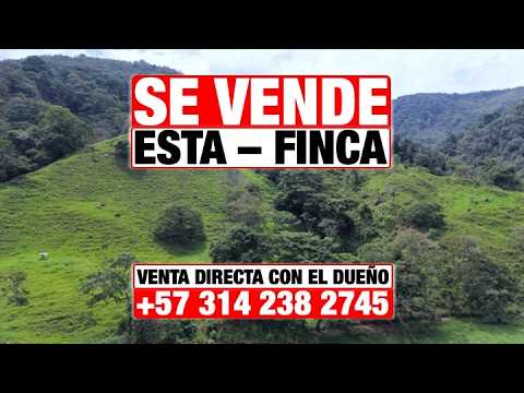 🔥(SE VENDE)🔥FINCA DE: (46.8) HECTÁREAS🔥Venta directa con el dueño: (+57) 314 238 2745🔥