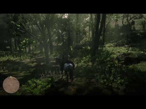 Red Dead Redemption 2 Walkthrough part 9