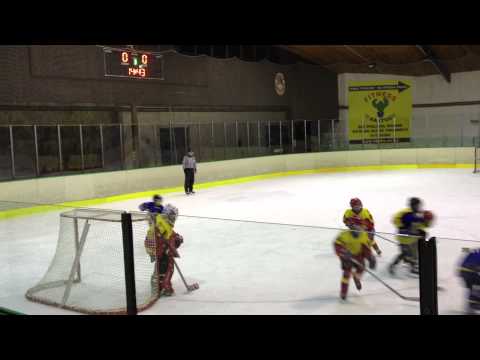 Rob playing goalie for HC Hvezda Praha, 5 Feb 2012
