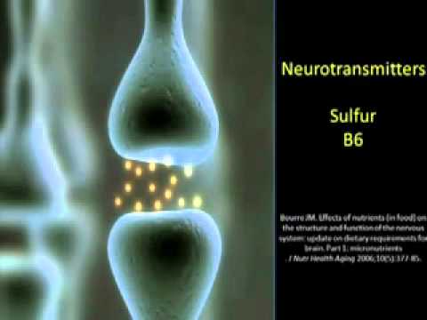 Part 1: TedxIowaCity - Dr. Terry Wahls - Minding Your Mitochondria.wmv