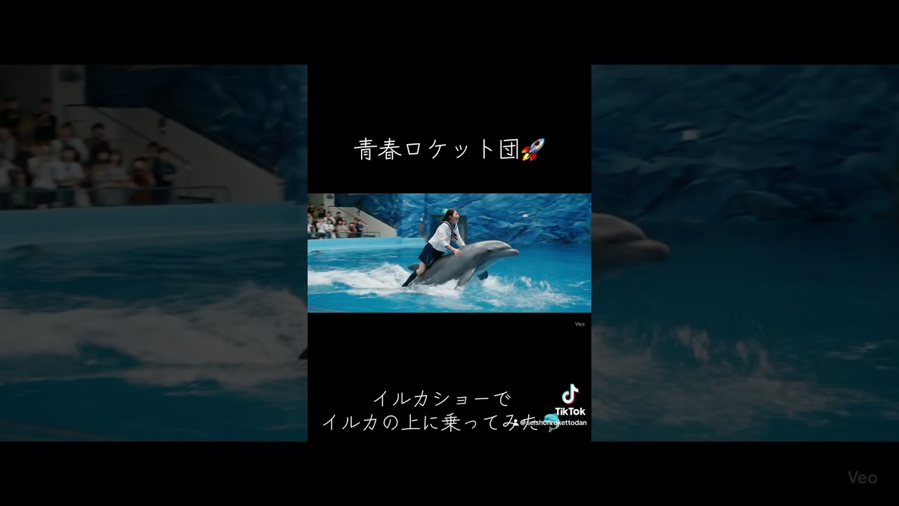 イルカショーでイルカの上に乗ってみた。　#ai #生成ai #ai動画 #YouTuber #AI