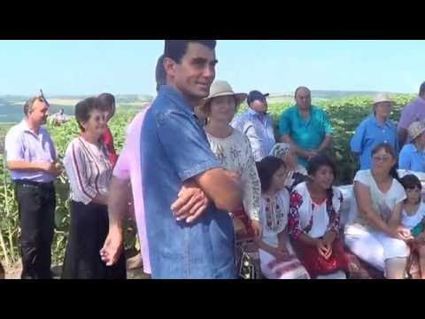 Sa dam viata anilor!