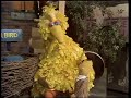 Classic Sesame Street Bert S Amnesia Part 1
