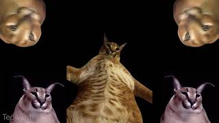 Cover art for FLOPPA RAVE 2!!!! (sonic mania)