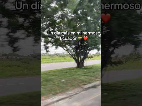 Así se vive un día en mi pueblito #ecuador #milagroguayas #zapote