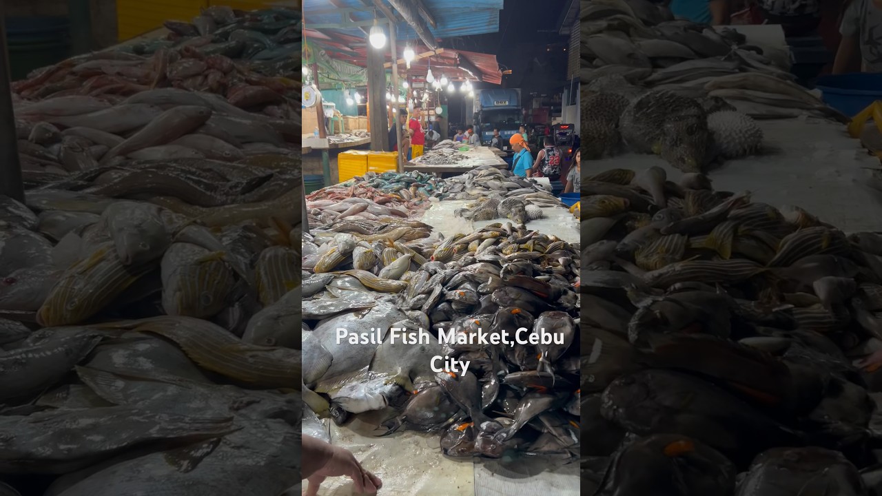 YouTube Short thumbnail