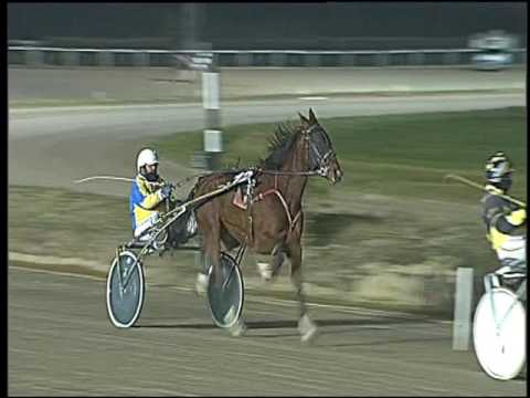 Trotto 23/12/2016 - 6ª corsa