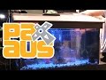 Crazy PC Builds From Nvidia PAX Aus 2015 IntelAtPax