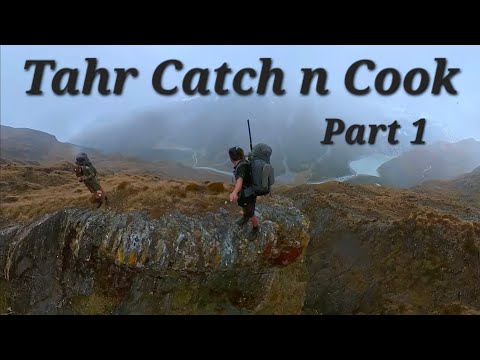 Strenuous Walk in Tahr Hunt Gourmet Surprise! 7 days in South Westland | Part 1