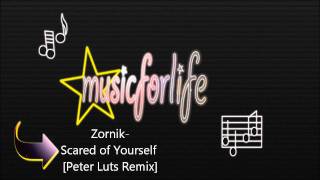 Zornik - Scared of Yourself [Peter Luts Remix] [HD]