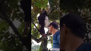 Download lagu Anu saha eta #bodorsunda #ngakak #lucu #komedisunda #comedy #shortsviral #shorts #fyp #fypシ゚ mp3