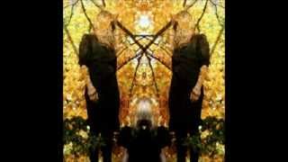 AUSTRA - Darken Her Horse