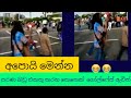 Kacha Badam Sinhala Version Galleface Live Sri Lanka Latest News Short
