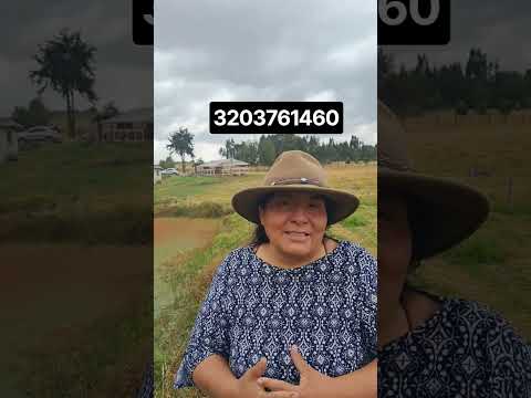 venta de finca en Toca Boyacá. con nacederos de agua 25 fanegadas cultiva ble.3203761460