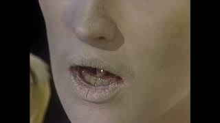 Robert Palmer - Some Guys Have All The Luck (1982) HD