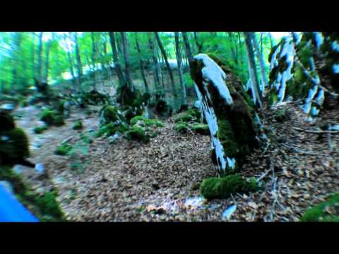 The Ant Brothers - Welcome to Pescasseroli