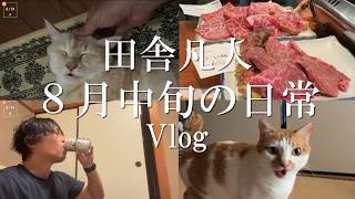 【Vlog】いなかぼん、８月中旬の日常Vlog