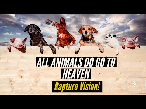 Witness21  2020 07 07