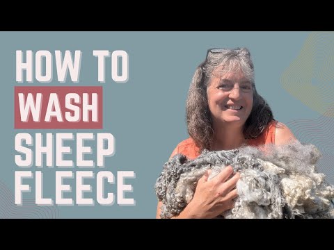 Sheep Fleece 101: A Beginner's Guide to Washing Raw Wool Fleece at Home